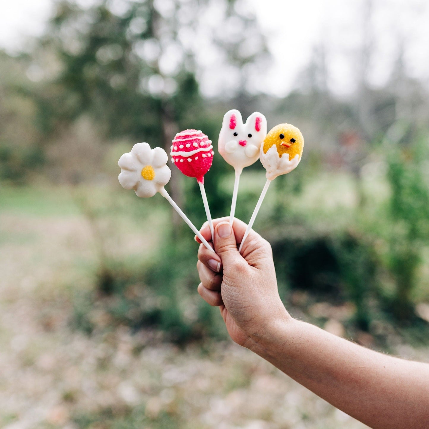 Spring Cake Pops